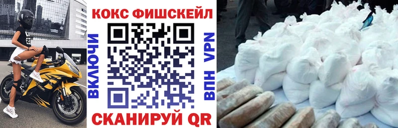 COCAIN Fish Scale  Купить  Узловая 