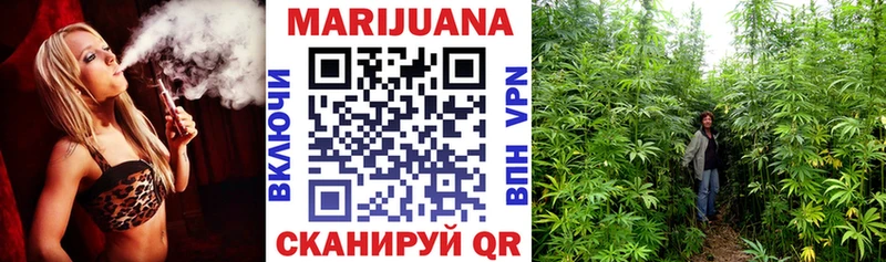 Канабис Amnesia  Купить  Узловая 